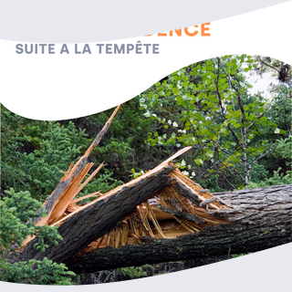 tempête