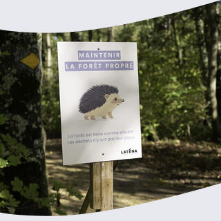Affiche forêt