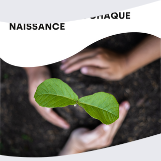 Arbre