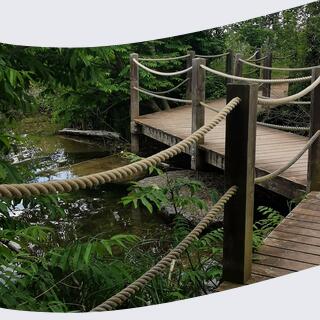 pont