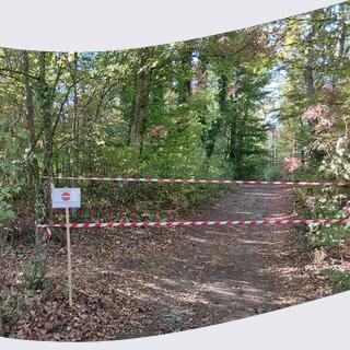 foret