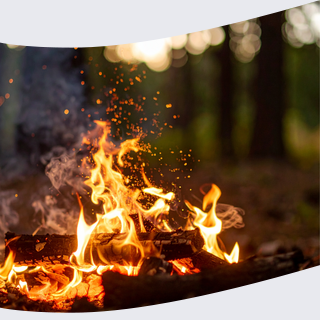 feux en forêt