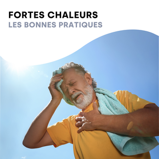 canicule