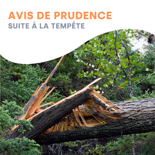 tempête