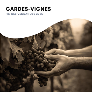 Vignes