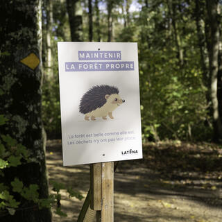 Affiche forêt