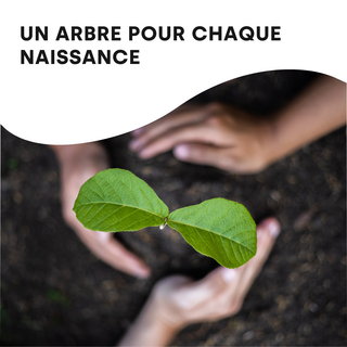 Arbre