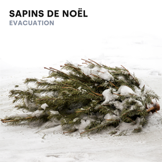sapin
