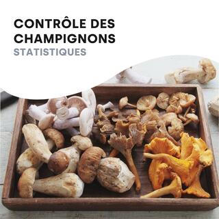 champignons 