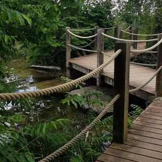 pont