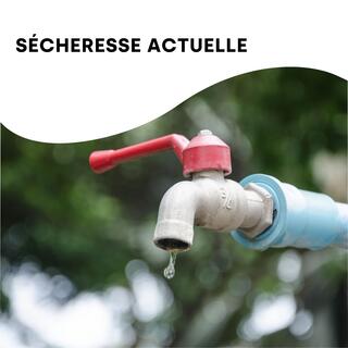 Sécheresse