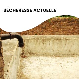 Sécheresse
